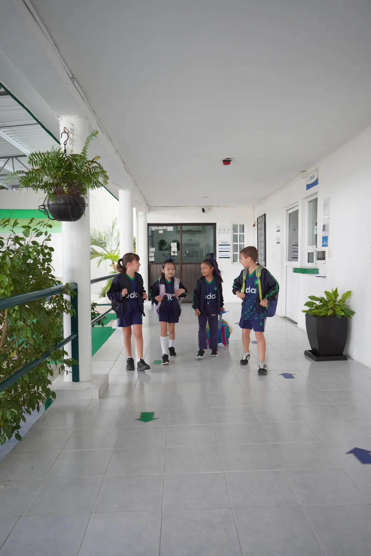 Primaria